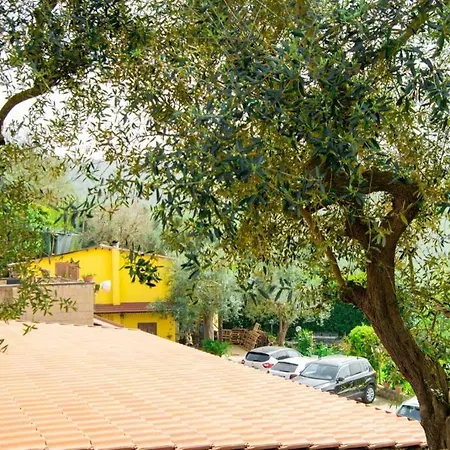 Aurora Oasi アパート *