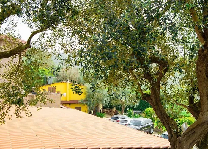 Aurora Oasi Apartament *