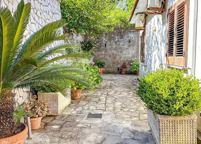 Apartament Aurora Oasi *